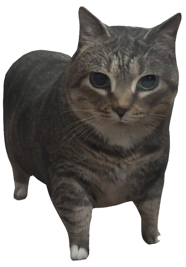Default Cat